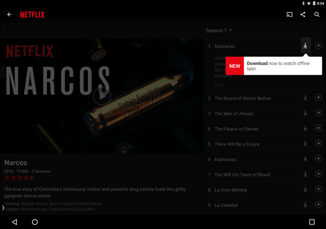 netflix download