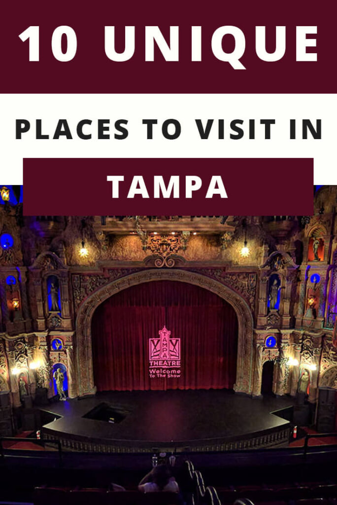 10 Unique Places to Visit in Tampa