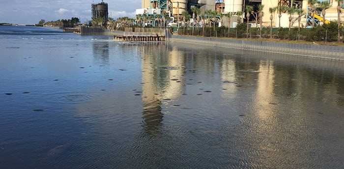 Manatee Viewing Center