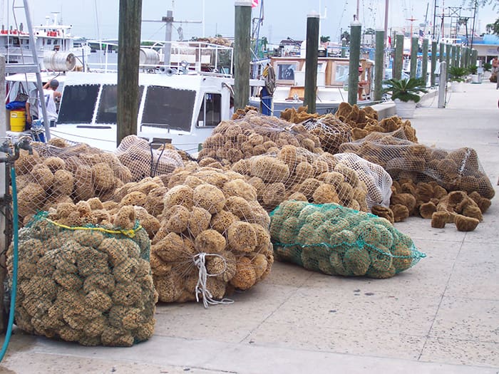 Tarpon Springs Sponge Docks