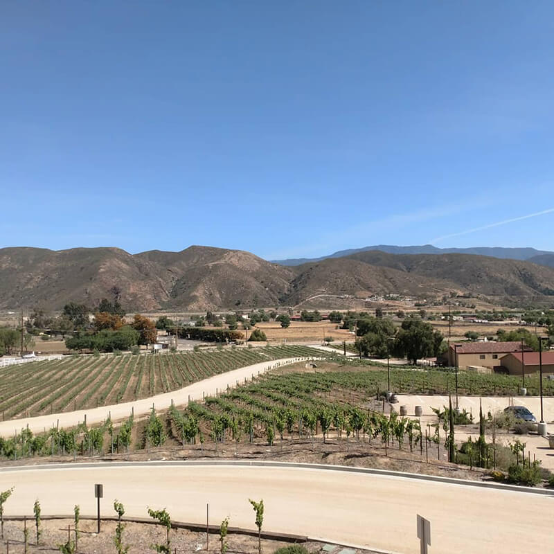 Temecula Wine Country