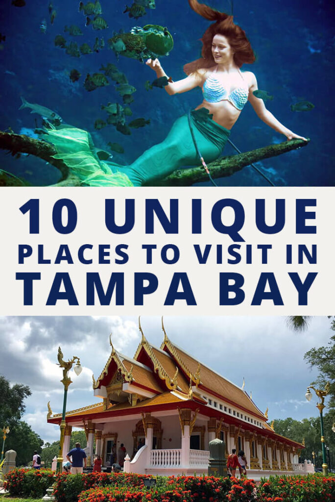 Unique Places to Visit in Tampa Bay