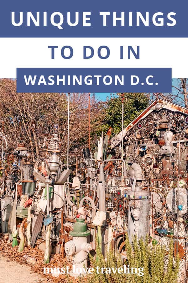 Unique Things to Do in the Washington D.C. Area