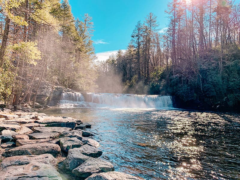 DuPont State Forest