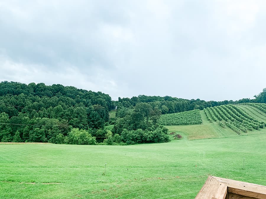 view from the balcony at the winery loft