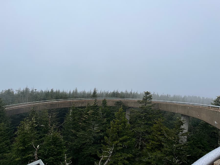 Clingman's Dome view from top